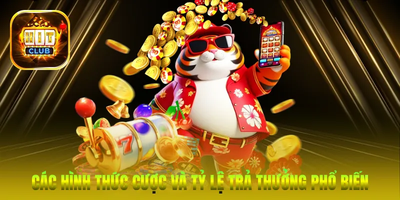 Các hình thức cược và tỷ lệ trả thưởng phổ biến